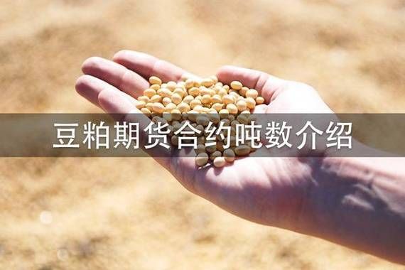 豆粕期货交易一手需要多少钱？期货豆粕一手多少钱