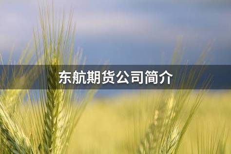 谈谈我对东航的了解？期货公司广告