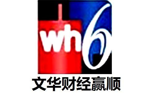 博易大师、富远、文华财经三个期货软件哪个最好，哪个可以看股指期货？文华赢顺期货