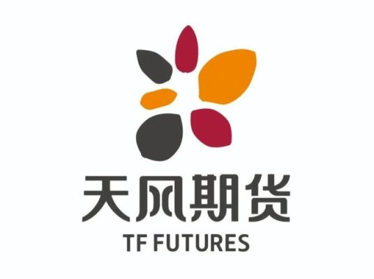 上海有哪几家期货公司？天风期货股份有限公司