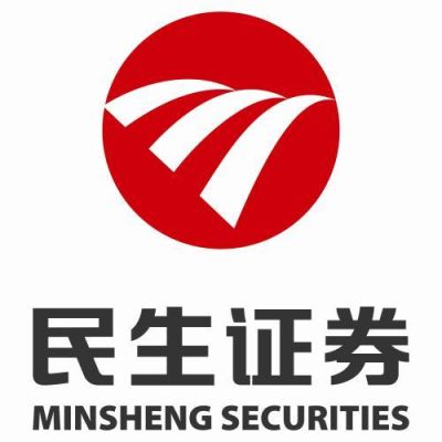 民生集团股份有限公司做什么的？株洲期货公司