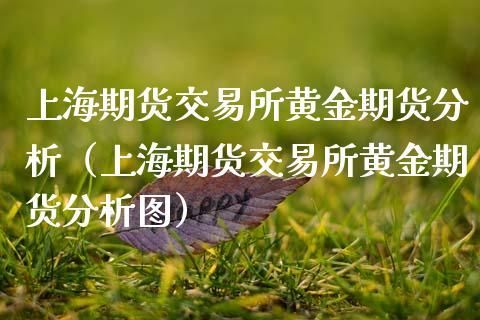 期货交易技术？期货市场黄金技术分析