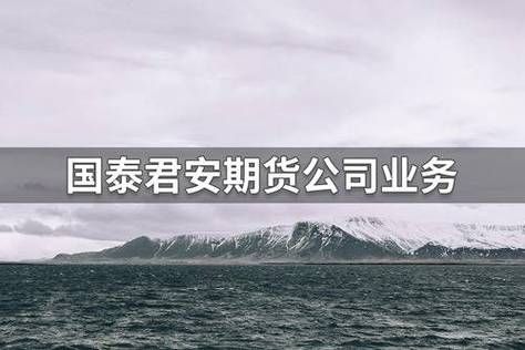 国泰君安期货是什么性质的公司？期货公司主营业务