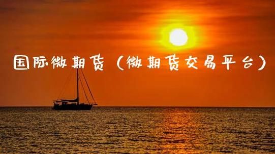 资金少怎样做期货交易？国内微期货