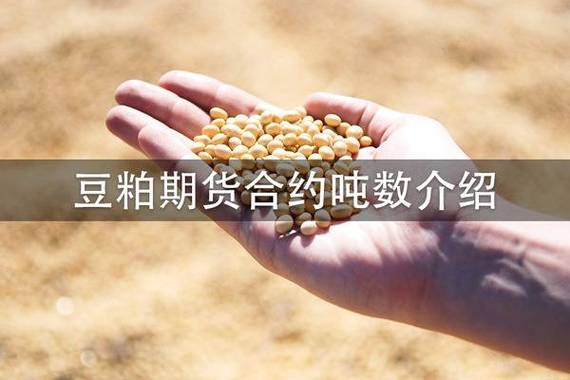 豆粕期货如何做？怎么做豆粕期货