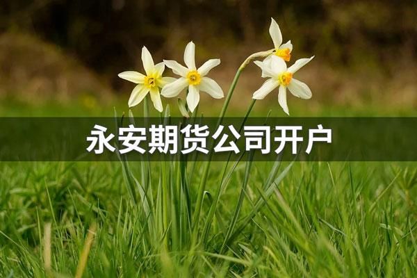 永安期货网上开户流程怎样的？成都永安期货
