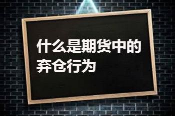 有没有专业的人帮我回答一下，我买的期货，设置了止损，但是穿仓了？期货公司穿仓