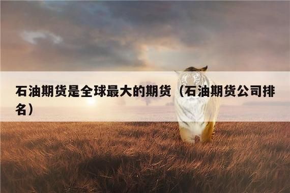 有人能解释下原油期货是什么意思？如何买石油期货