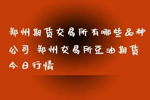 为什么郑州期货交易所看不到行情？郑州期货交易所首页
