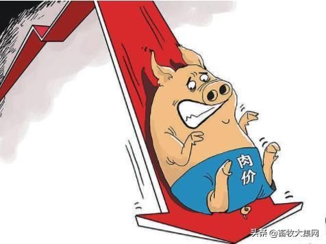 生猪期货与市场猪价有关联吗？瘦肉猪期货