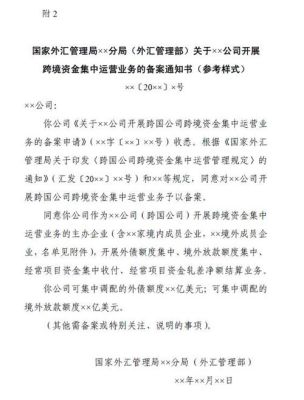 国内跨境外汇资质有几家？领航者期货