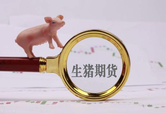 生猪期货2203和2205是什么意思？猪期货代码