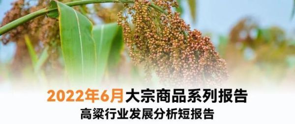 玉米属于大宗商品吗？高粱期货