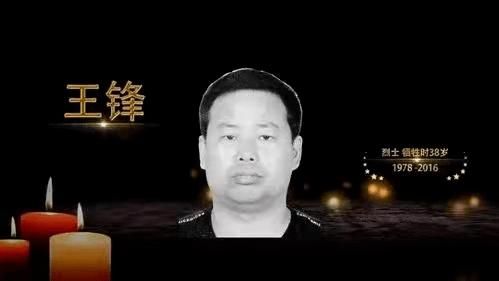 王锋是哪部小说中的人物？重生之期货