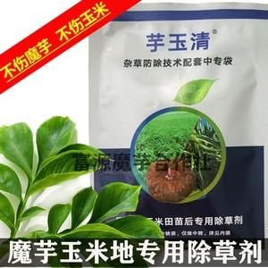芋玉清真的不伤魔芋玉米苗吗？玉米期货套利