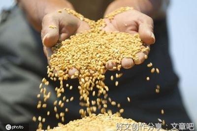 炒粮是什么意思？粮食期货怎么炒