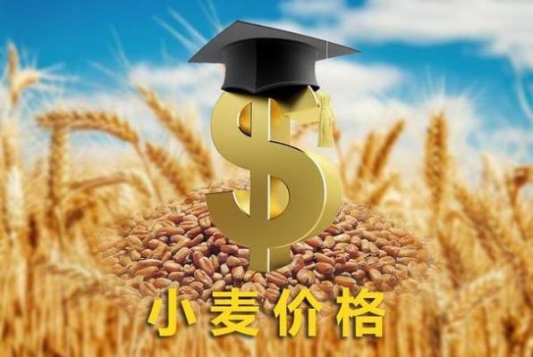 小麦大涨可能性？今日小麦期货价格行情大幅上涨