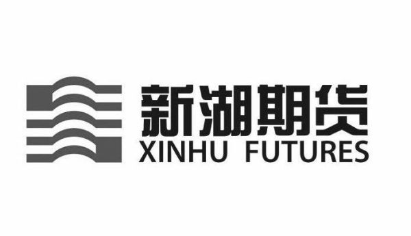 新湖期货有限公司怎么样？星湖期货