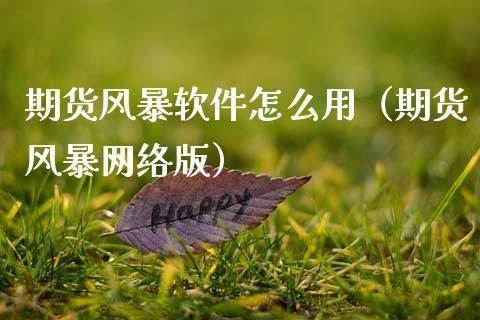 金融风暴普通人该怎么做？期货风暴软件