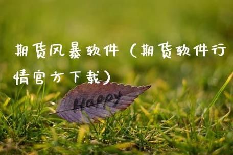金融风暴普通人该怎么做？期货风暴软件