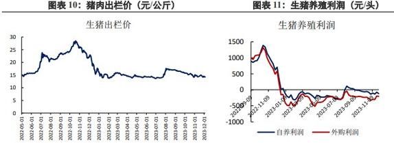 粮食期货品种排行榜？美国橙汁期货