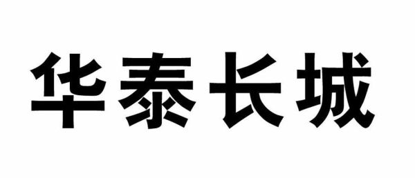 华泰长城期货有限公司的公司介绍？股指期货ib业务