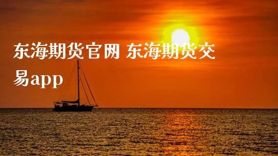 东海期货是正规公司吗？东海期货网站
