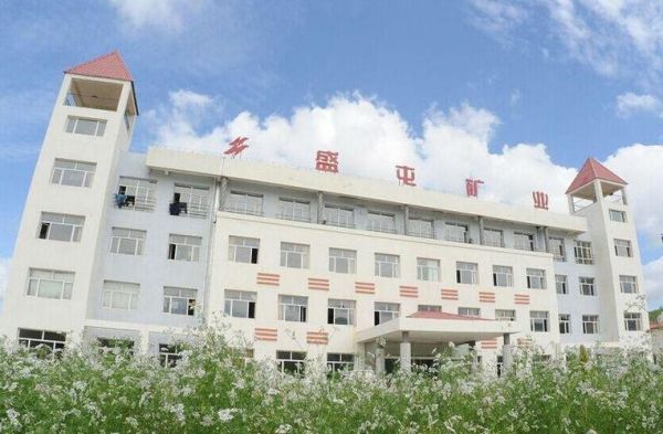 盛屯矿业？钴有期货吗
