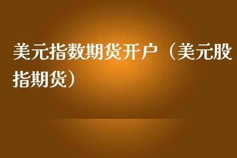 我司要在建行开设美金账户，请问相关的手续如何办理？美元指数期货开户