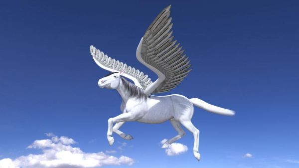 飞马体系是什么意思？飞马期货交易