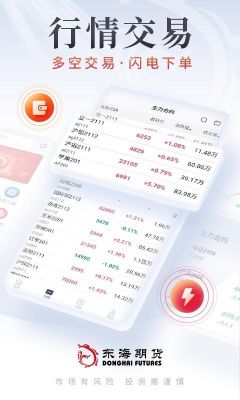 新开的东海期货账户为什么登不上？东海期货网上开户