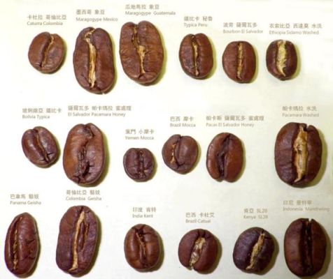四大粮食期货有哪几个？美咖啡期货价格