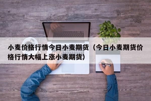 怎么买小麦期货？炒小麦期货