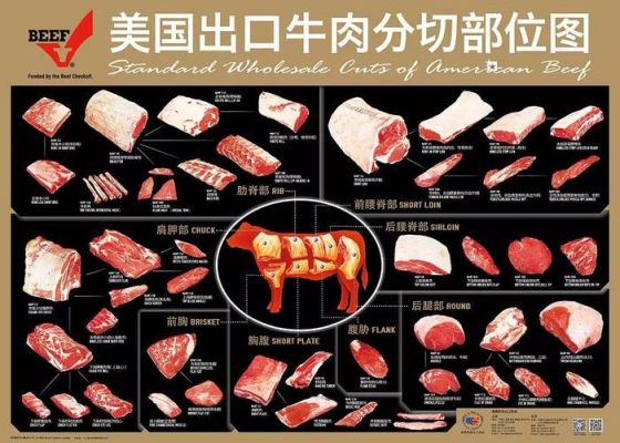 活牛活马有期货吗？美国牛肉期货