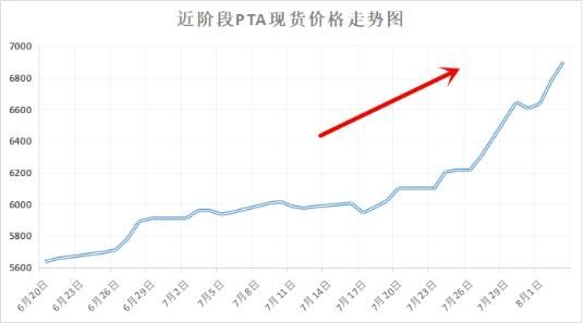 PTA是什么？涤纶长丝期货