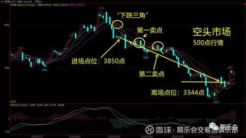 白银期货一个点位如何计算？白银期货操作