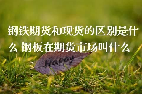 什么是期货钢铁？期货贸易商