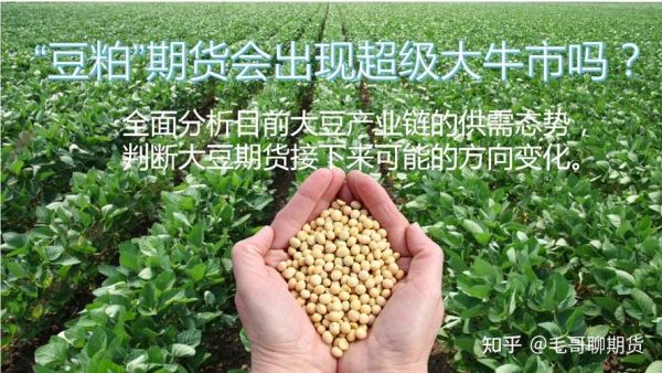 为什么很少有人做豆粕？期货只做豆粕