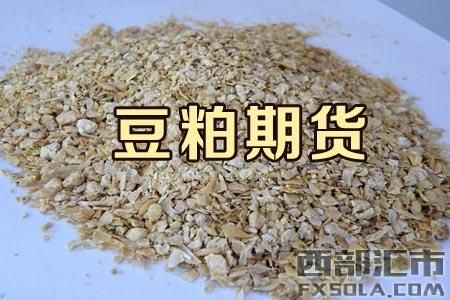 为什么很少有人做豆粕？期货只做豆粕