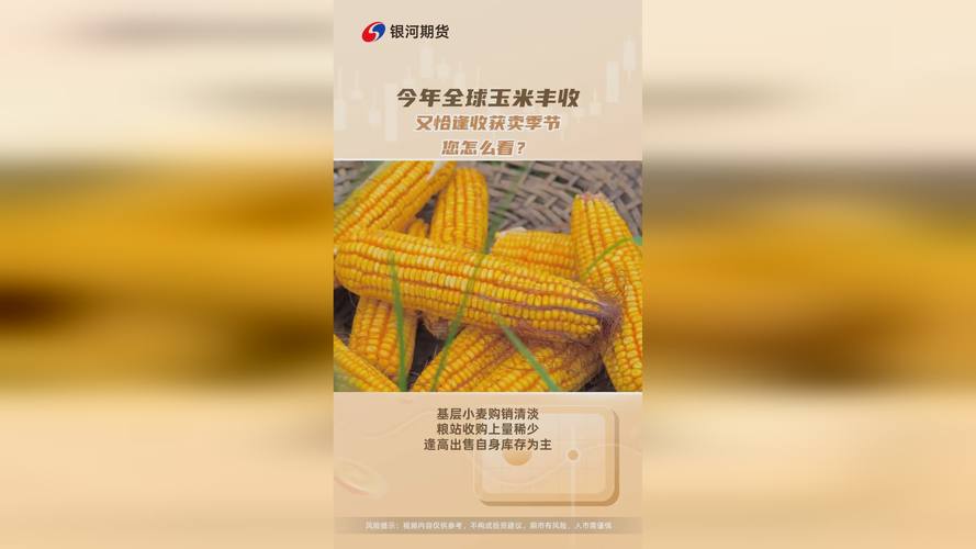 期货常年只买一手玉米可行吗？专做玉米期货