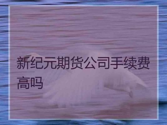 新纪元期货公司为什么收双向的手续费？新纪元期货手续费