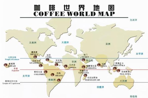 哪里大量收购咖啡豆？纽约期货咖啡交易所