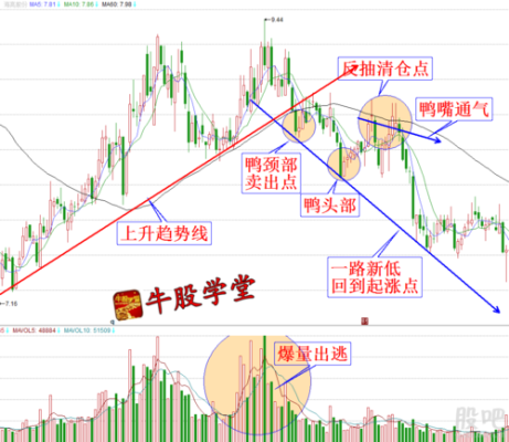 为什么黄金会出现倒挂？倒挂期货