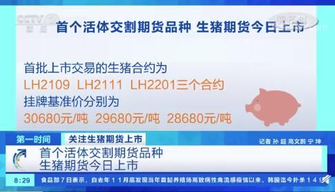 生猪期货什么意思？廋肉期货