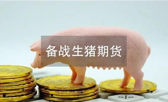 生猪期货什么意思？廋肉期货