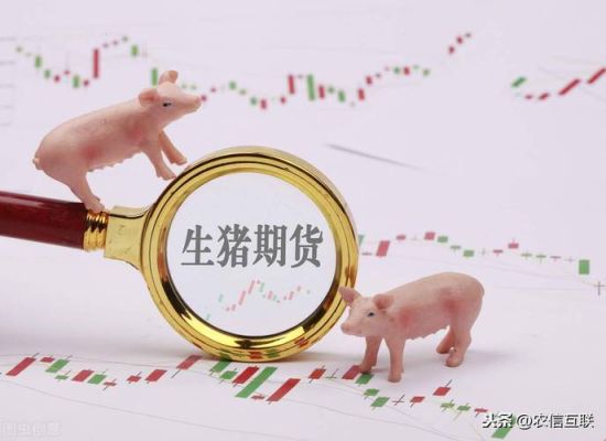 猪优版是资金盘吗？期货瘦肉猪