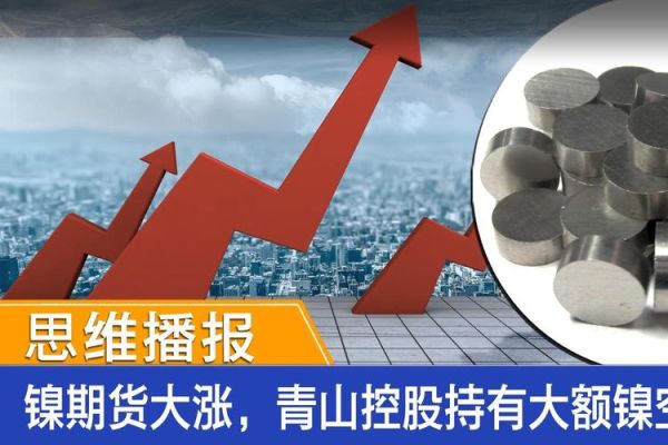 青山控股集团有限公司介绍？锰期货指数