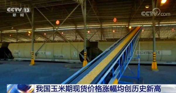 玉米冷藏以后还可以期货交割吗？玉米期货现货