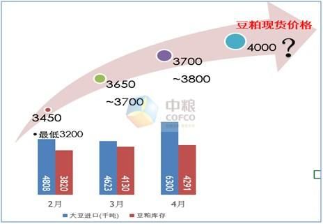 为什么期货高手都不做豆粕？豆铂期货