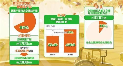 大米期货怎么买？做期货大米